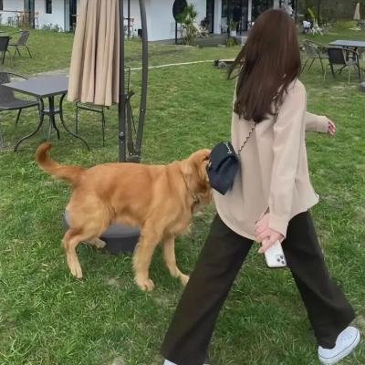 幸福小丈夫